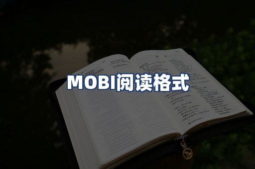MOBI阅读格式